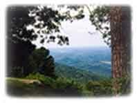 a view from the brow