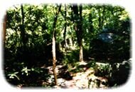 cumberland trail