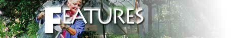 featured news and informative articles by local authors